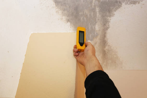 Best Biohazard Mold Removal  in North Auburn, CA