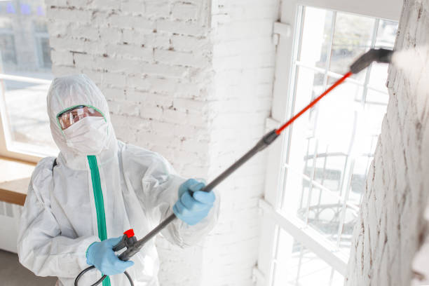 Best Post-Construction Mold Inspection  in North Auburn, CA