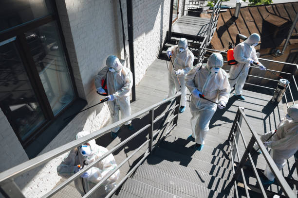 Best Asbestos and Lead Testing During Mold Inspection  in North Auburn, CA